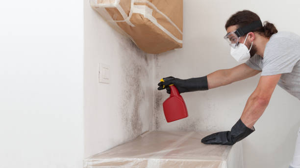 Professional Bathroom Mold Removal technician working in Laingsburg, MI