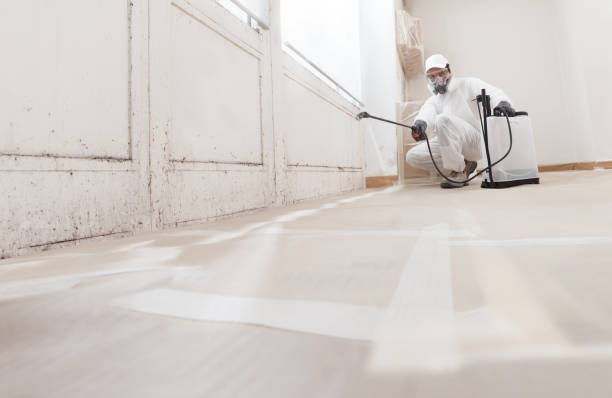 24/7 Emergency Bathroom Mold Removal experts in Laingsburg, MI